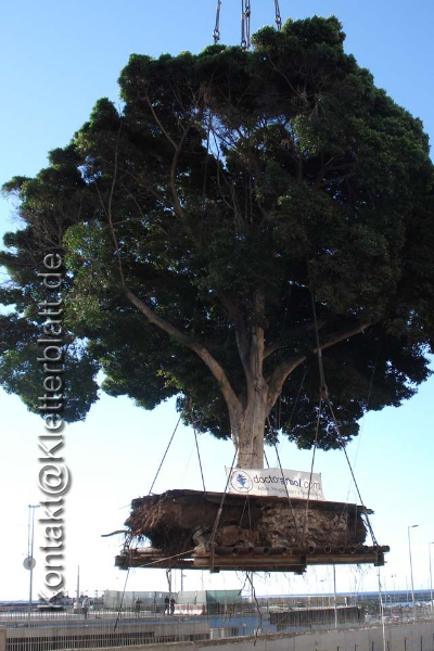 Herbal Equivalent To Synthroid