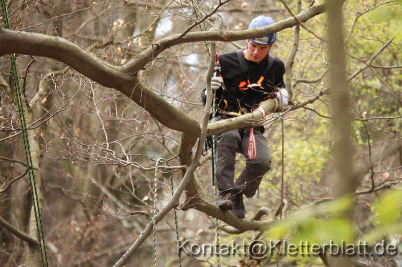 Herbal Equivalent To Synthroid